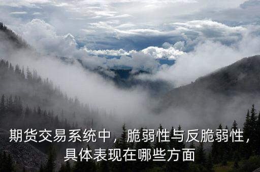 期貨交易系統中，脆弱性與反脆弱性，具體表現在哪些方面