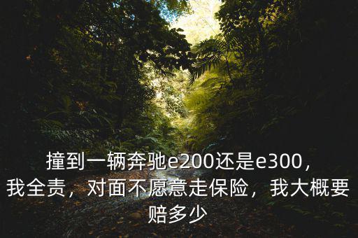 撞到一輛奔馳e200還是e300，我全責(zé)，對(duì)面不愿意走保險(xiǎn)，我大概要賠多少