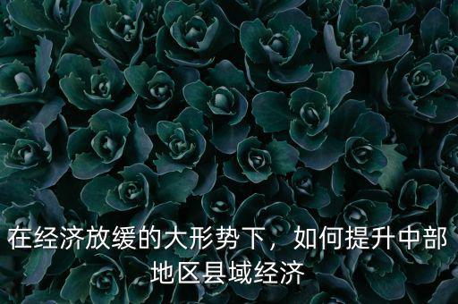 怎么看待經濟放緩的形勢,如何看待今后的經濟形勢