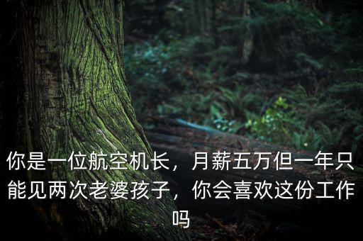 你是一位航空機長，月薪五萬但一年只能見兩次老婆孩子，你會喜歡這份工作嗎