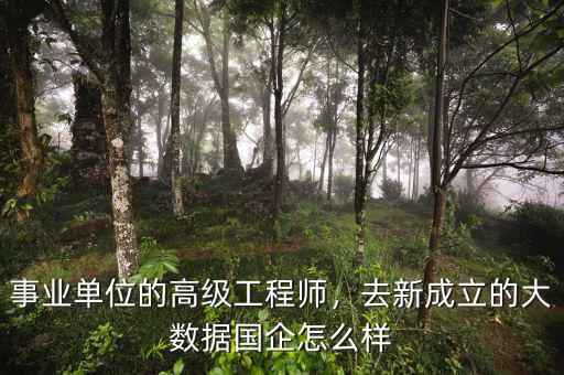 事業單位的高級工程師，去新成立的大數據國企怎么樣