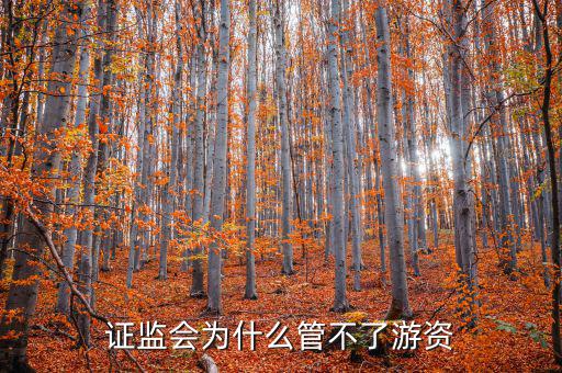 現貨市場為什么不由證監會監管,證監會為什么管不了游資