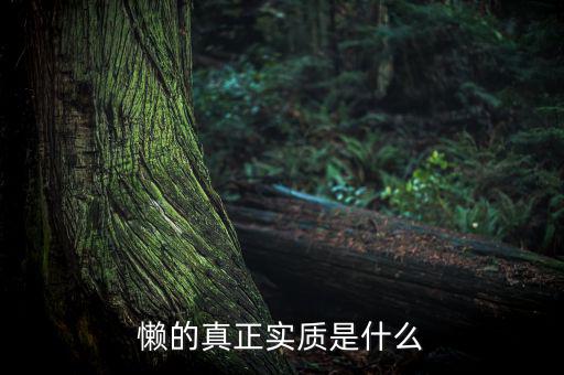 懶的真正實質是什么