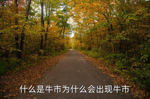 什么是牛市為什么會出現牛市