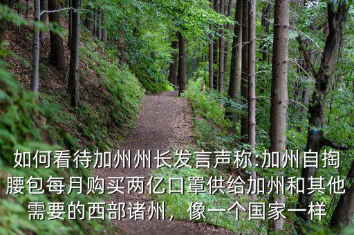 如何看待加州州長發言聲稱:加州自掏腰包每月購買兩億口罩供給加州和其他需要的西部諸州，像一個國家一樣