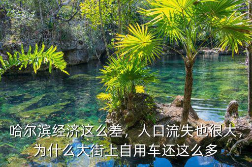 哈爾濱經濟這么差，人口流失也很大，為什么大街上自用車還這么多