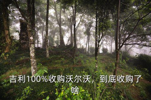 吉利100%收購(gòu)沃爾沃，到底收購(gòu)了啥