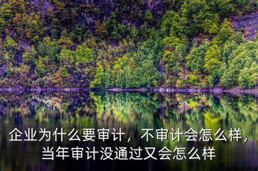 it審計怎么轉為財審,企業為什么要審計