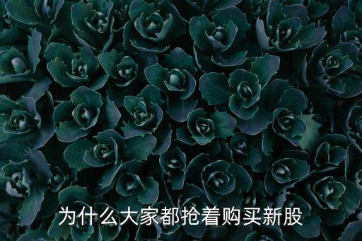 為什么急于發行新股,為什么大家都搶著購買新股