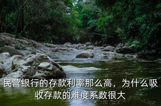 民營銀行的存款利率那么高，為什么吸收存款的難度系數很大