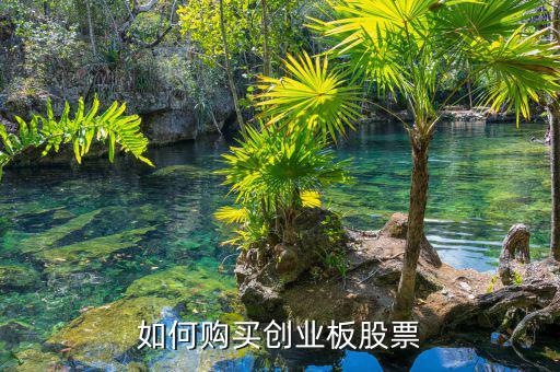 創業板怎么樣,投資創業板怎么樣