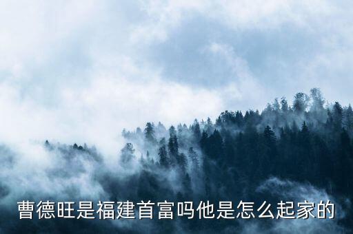 億萬富豪怎么發家曹德旺,曹德旺是福建首富嗎