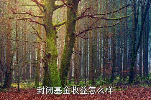 001276基金怎么樣,現在買指數基金怎么樣
