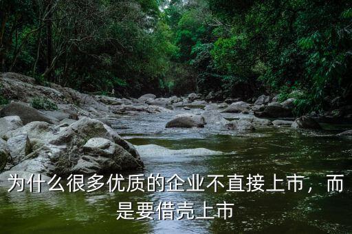 為什么很多優(yōu)質(zhì)的企業(yè)不直接上市，而是要借殼上市
