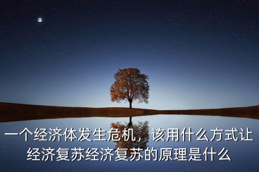 一個經濟體發生危機，該用什么方式讓經濟復蘇經濟復蘇的原理是什么