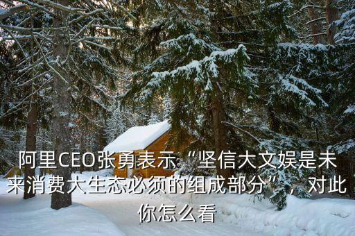 阿里CEO張勇表示“堅信大文娛是未來消費大生態必須的組成部分”，對此你怎么看