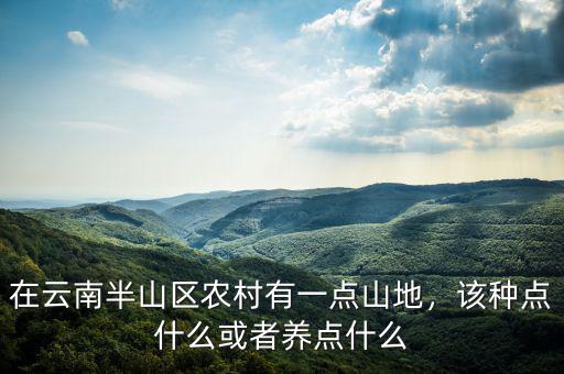 在云南半山區農村有一點山地，該種點什么或者養點什么