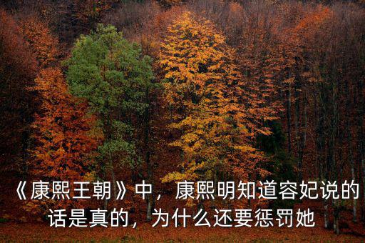 《康熙王朝》中，康熙明知道容妃說的話是真的，為什么還要懲罰她
