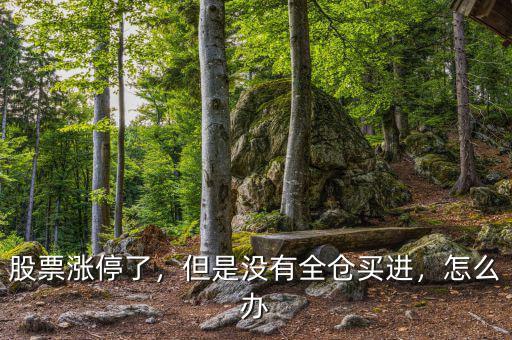 股票漲停了，但是沒(méi)有全倉(cāng)買(mǎi)進(jìn)，怎么辦