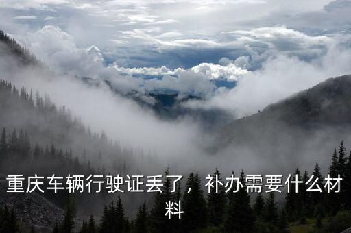 重慶補辦行駛證需要什么手續,重慶車輛行駛證丟了