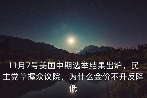 2010年美國中期選舉候選人有多少,美國總統中期選舉