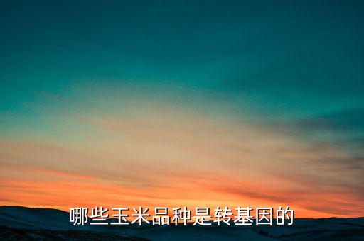 哪些玉米品種是轉基因的