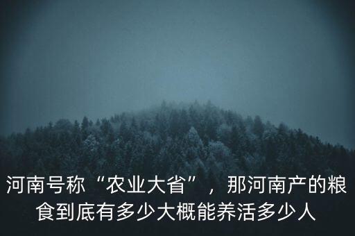 河南號稱“農業大省”，那河南產的糧食到底有多少大概能養活多少人