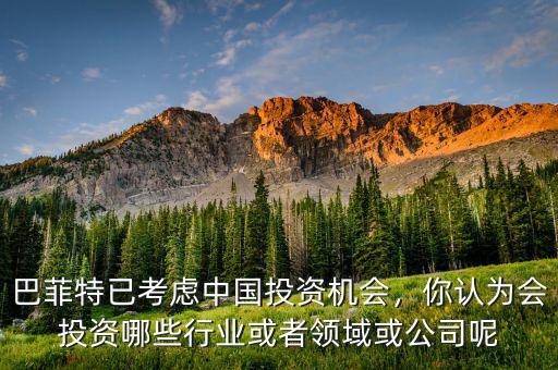 巴菲特主要投資什么行業,巴菲特開始投資亞馬遜