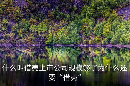 什么叫借殼上市公司規模夠了為什么還要“借殼”