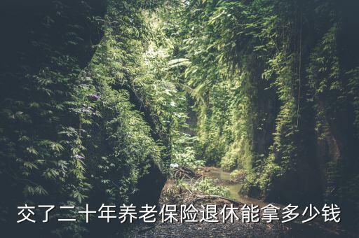 交了二十年養老保險退休能拿多少錢