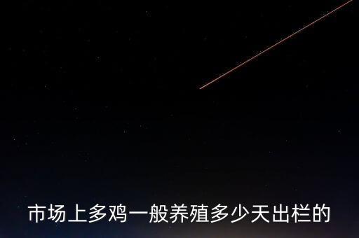 市場上多雞一般養殖多少天出欄的