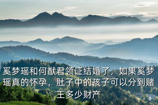奚夢瑤和何猷君領證結婚了，如果奚夢瑤真的懷孕，肚子中的孩子可以分到賭王多少財產