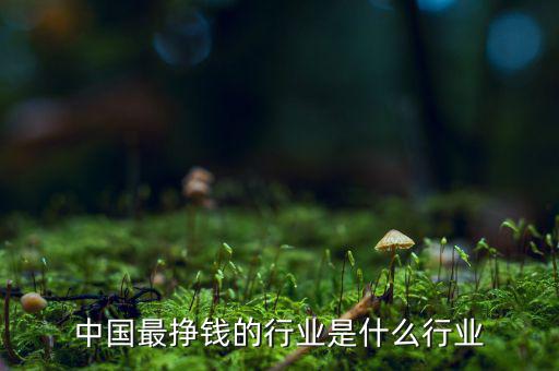 中國最掙錢的行業是什么行業
