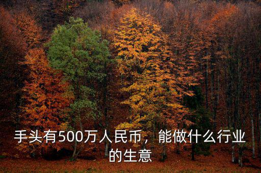 手頭有500萬人民幣，能做什么行業的生意