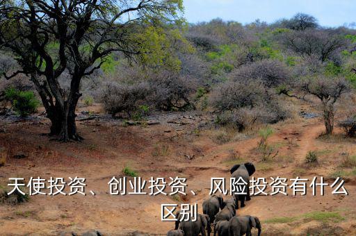 天使投資、創(chuàng)業(yè)投資、風(fēng)險投資有什么區(qū)別