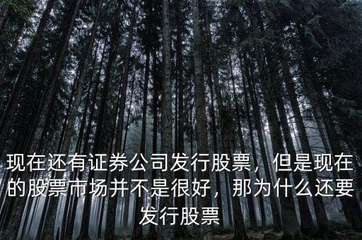 公司為什么發行股票,現在還有證券公司發行股票