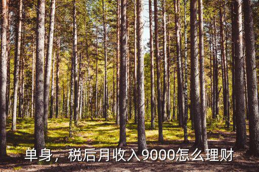 單身，稅后月收入9000怎么理財