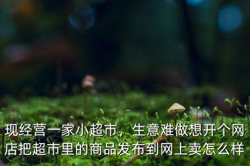現經營一家小超市，生意難做想開個網店把超市里的商品發布到網上賣怎么樣