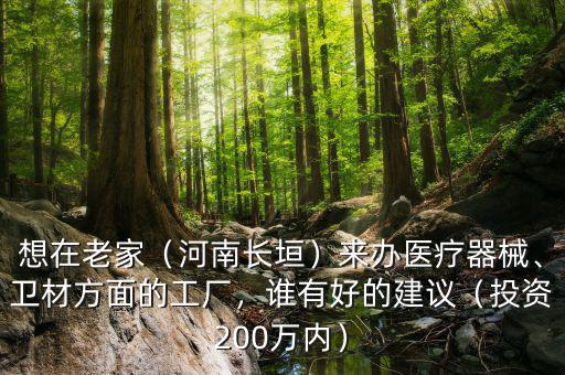 想在老家（河南長垣）來辦醫(yī)療器械、衛(wèi)材方面的工廠，誰有好的建議（投資200萬內(nèi)）