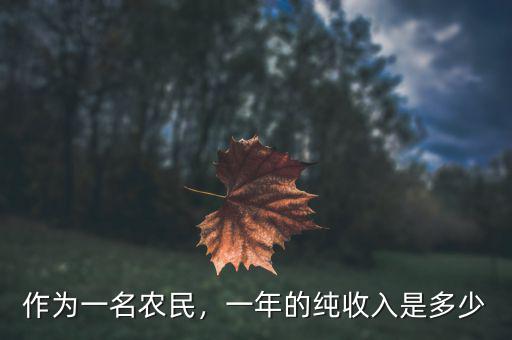 作為一名農民，一年的純收入是多少