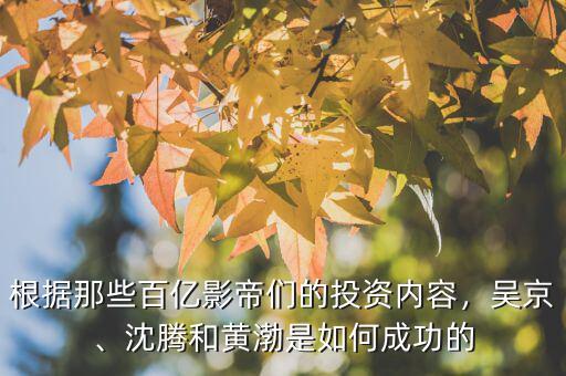 根據那些百億影帝們的投資內容，吳京、沈騰和黃渤是如何成功的