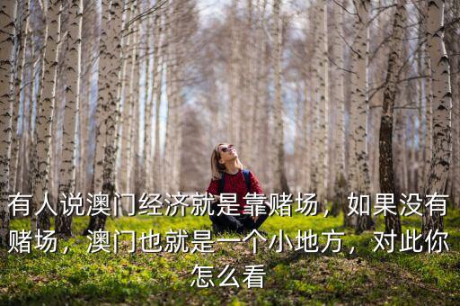 澳門經濟靠什么,澳門經濟這么發達