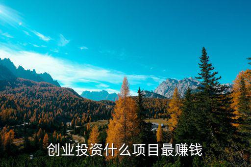 投資什么最賺錢,創業投資什么項目最賺錢