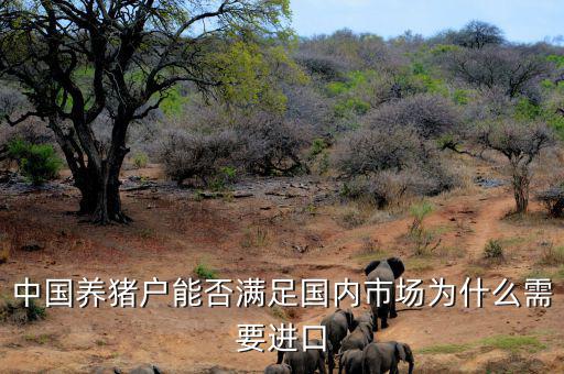 中國養豬戶能否滿足國內市場為什么需要進口