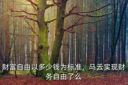 財富自由以多少錢為標準，馬云實現財務自由了么