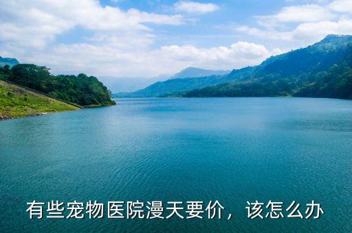 開個寵物醫院要多少錢,有些寵物醫院漫天要價