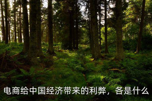 電商給中國經濟帶來的利弊，各是什么