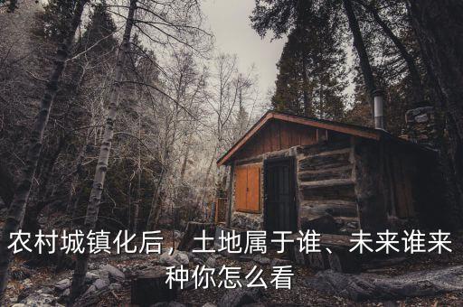 農村城鎮化后，土地屬于誰、未來誰來種你怎么看
