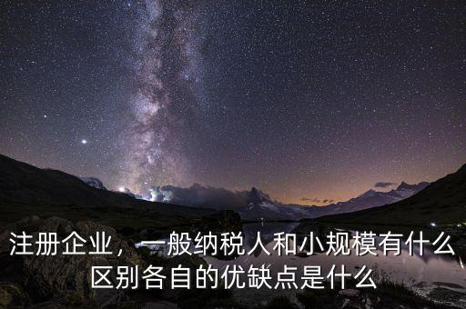 規模優勢是什么,各自的優缺點是什么