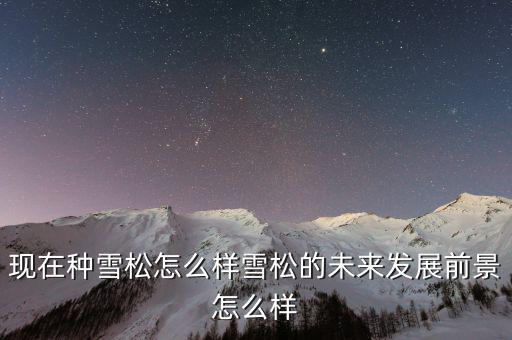 雪松資本怎么樣,現在種雪松怎么樣